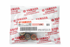 Dados bws 125